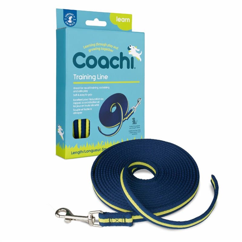 Laisse pour Chien Coachi Bleu Formation - Image 1