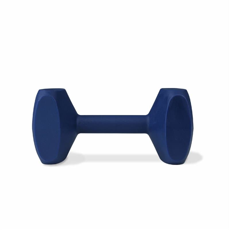 Haltère Coachi TRAINING DUMBBELL Bleu - Image 1