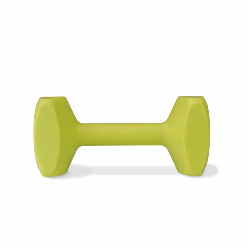 Haltère Coachi TRAINING DUMBBELL 12 Plastique - Image 1
