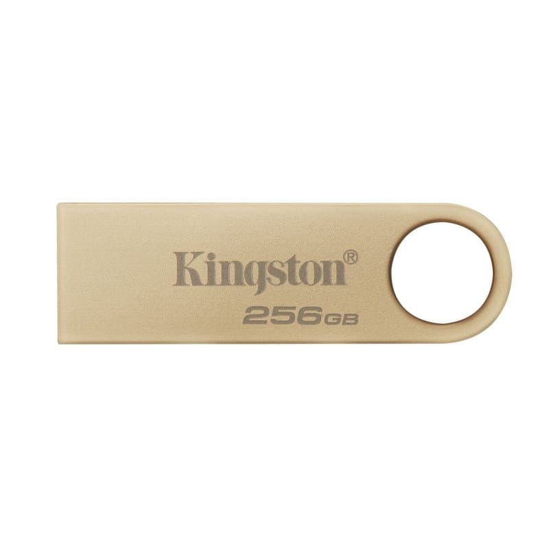 Kingston Technology DataTraveler 256Go 220Mo/s Clé USB 3.2 Gen 1 Métal SE9 G3 - Image 1
