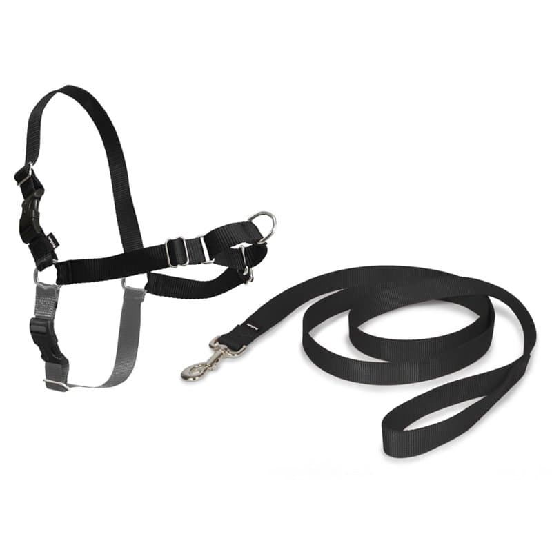Harnais pour Animaux Domestiques PetSafe Easy Walk Noir Medianav (M) - Image 1