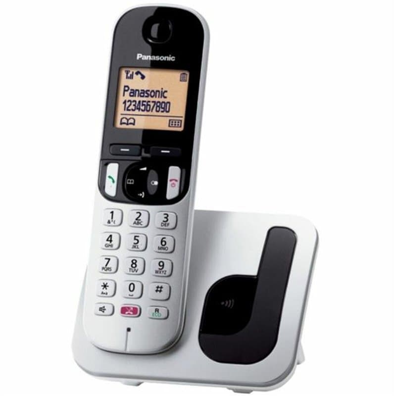 Téléphone Sans Fil Panasonic KXTGC250SPS Argenté - Image 1
