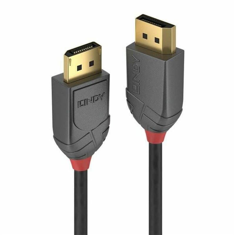Lindy 36482 câble DisplayPort 2 m Noir - Image 1