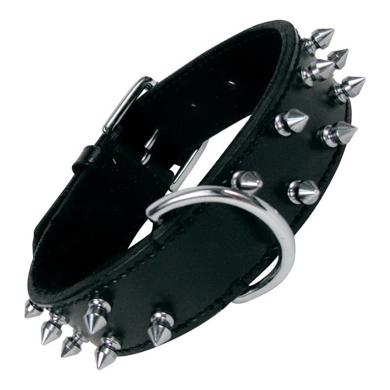 Collier pour Chien Gloria Noir Clous (45cm) - Image 1