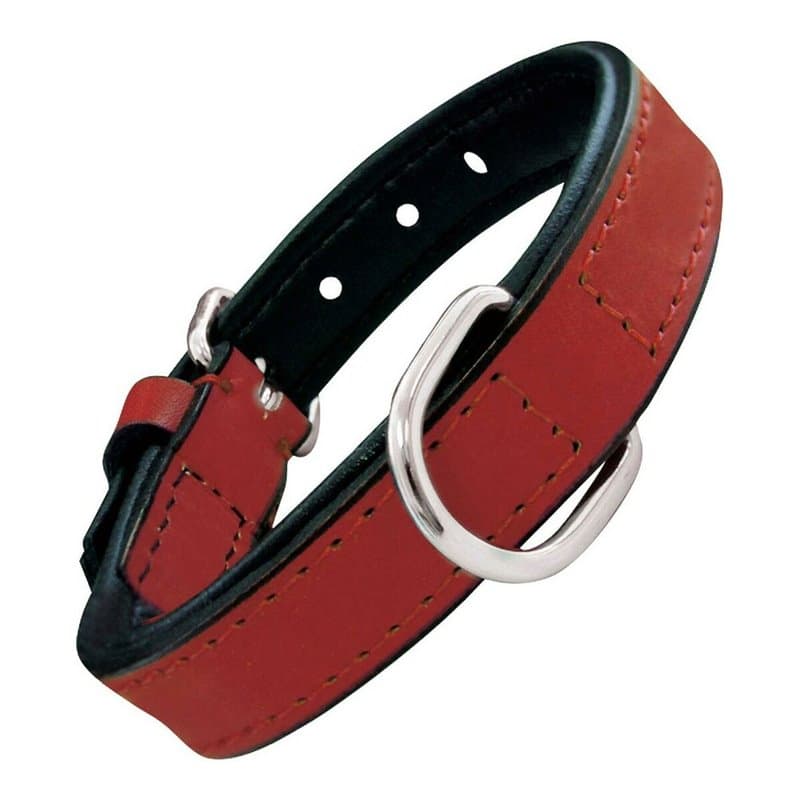Collier pour Chien Gloria Rembourré Rouge (35 x 1,5 cm) - Image 1