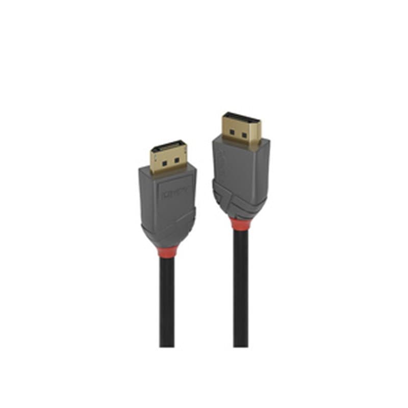 Lindy 36481 câble DisplayPort 1 m Noir, Gris - Image 1