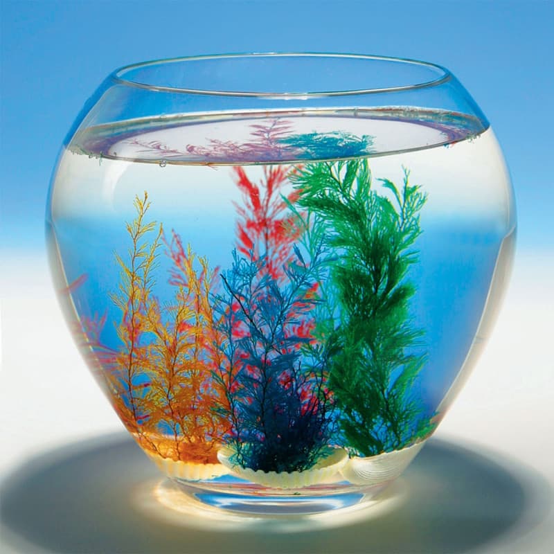 GOKI Magic Shell, 1st. - Image 1