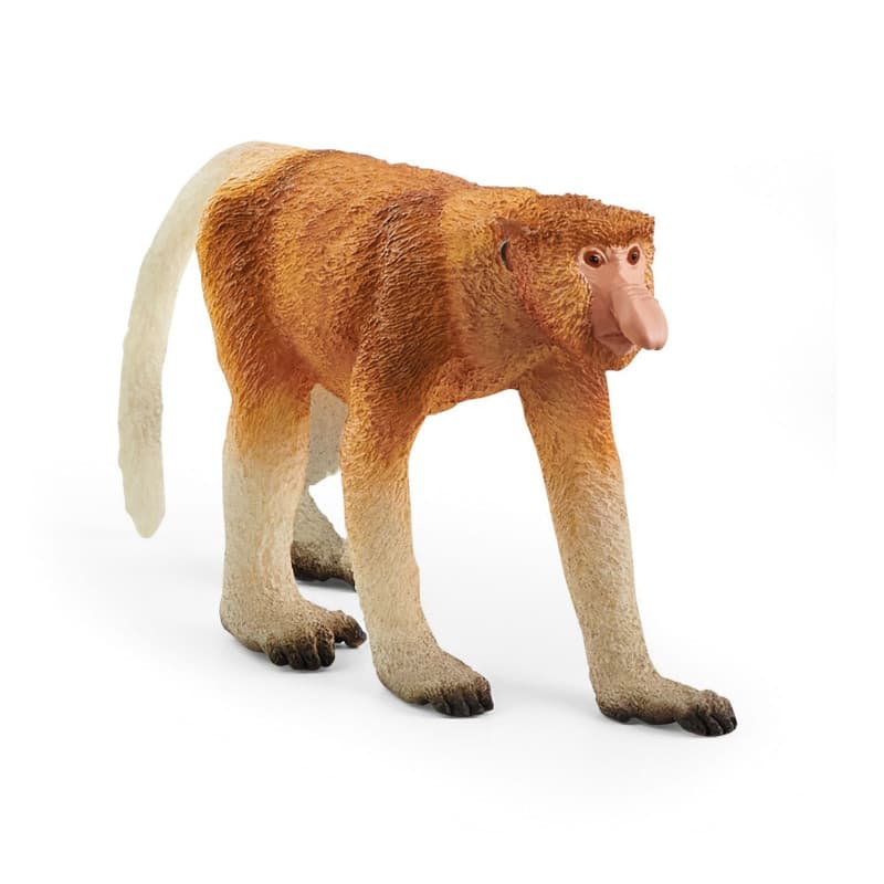 schleich WILD LIFE Nasique - Image 1