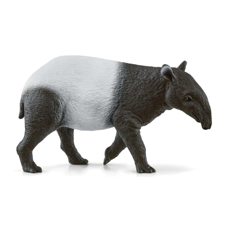 schleich WILD LIFE Tapir - Image 1