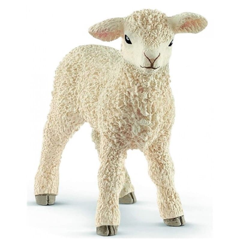 schleich FARM WORLD Agneau - Image 1