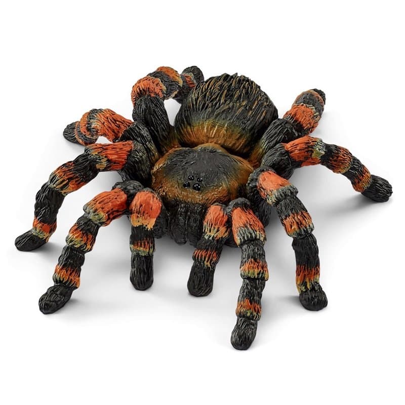 schleich WILD LIFE Mygale - Image 1
