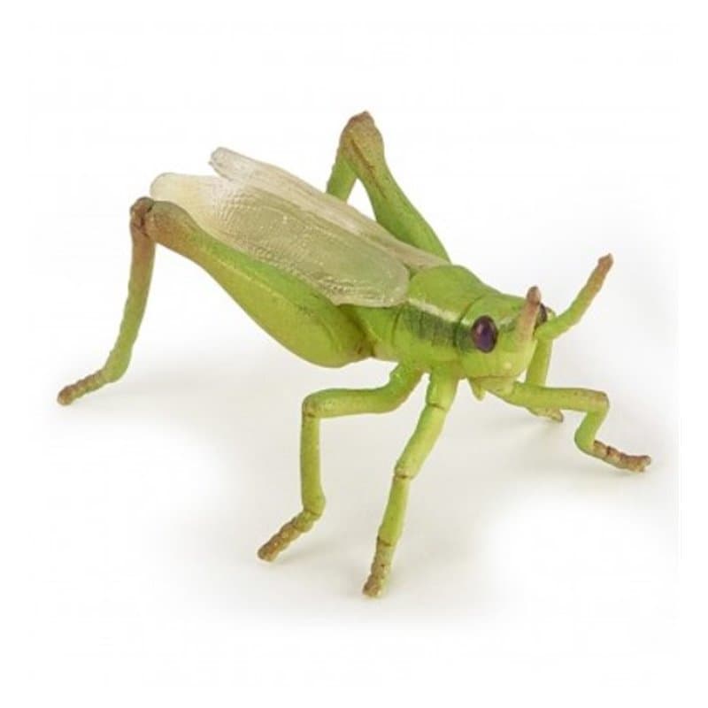 50268 Sauterelle Figurine Papo - Image 1