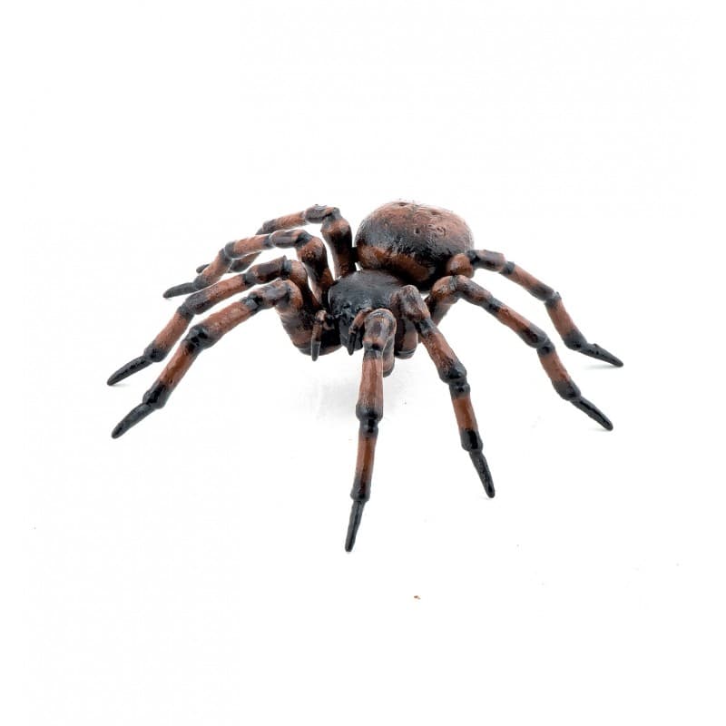 Papo - 50292 - Araignée commune - Image 1