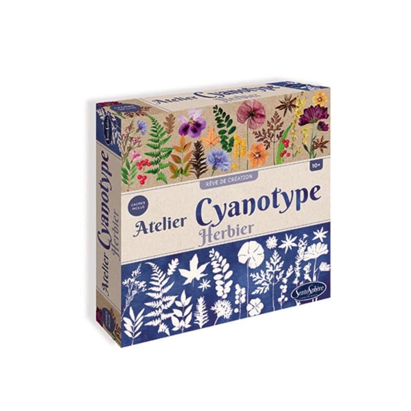 Atelier Cyanotype herbier - Image 1
