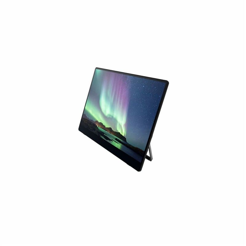Ricoh Moniteur portable 150 - Image 1