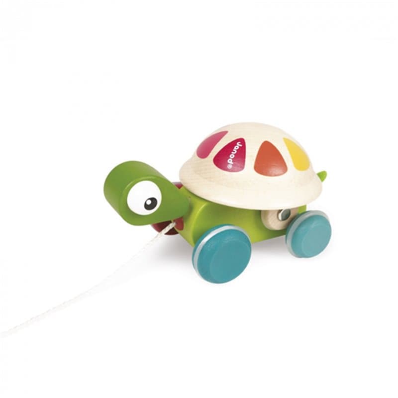 Tortue a promener Zigolos - Image 1