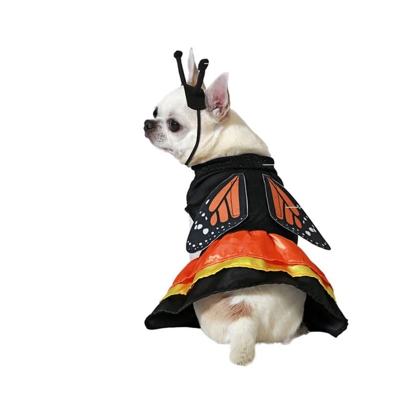 déguisement pour chien Taille L Papillon - Image 1