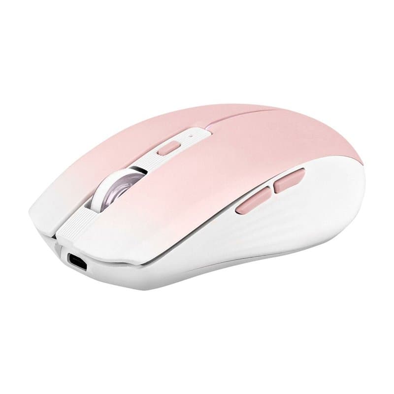 Souris TNB GRADIENT Rose - Image 1