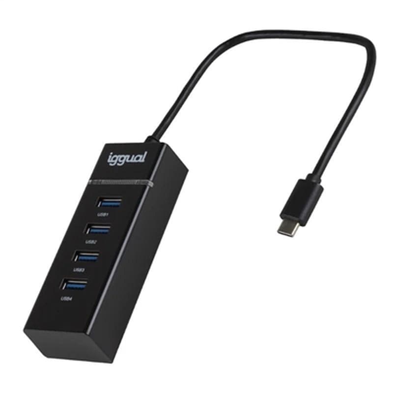 Hub USB iggual IGG319239 - Image 1
