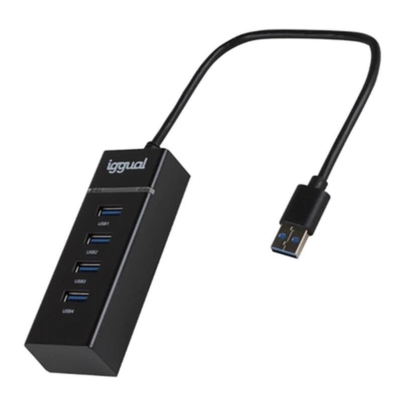 Hub USB iggual IGG319246 - Image 1