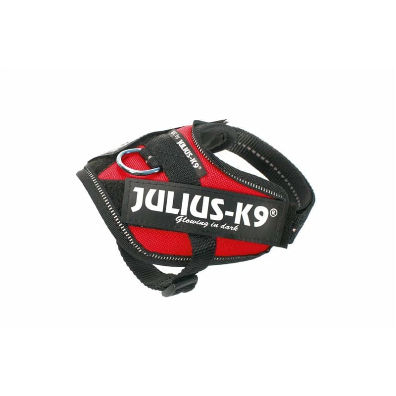 Harnais pour Chien JuliusK9 - Image 1