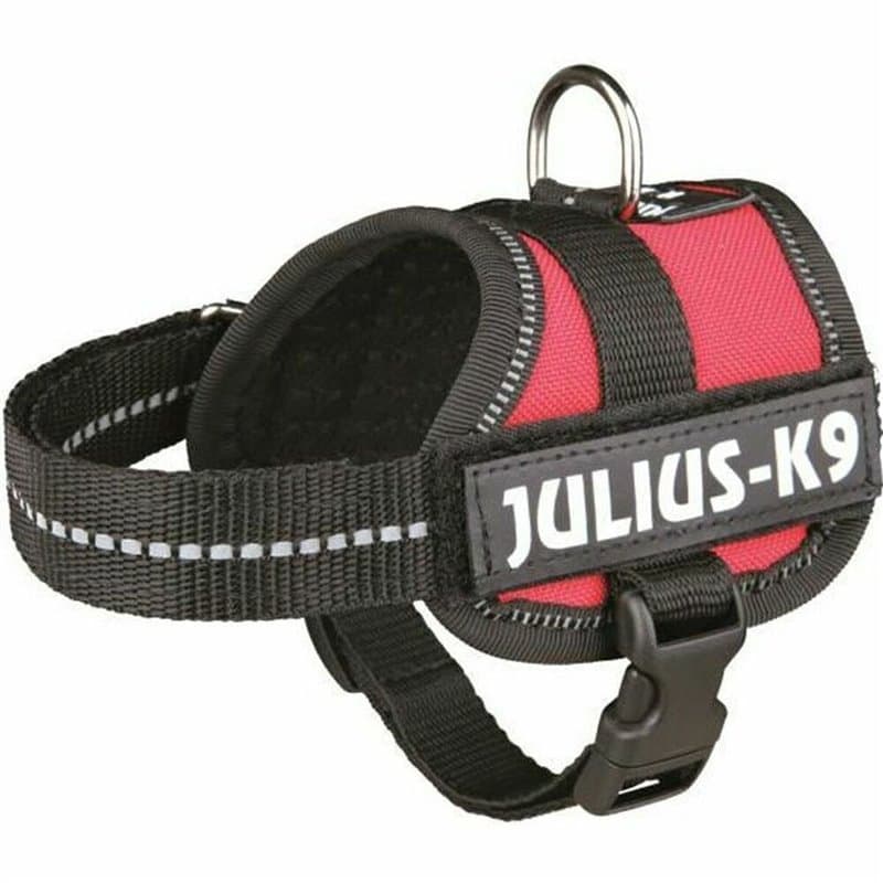 Harnais pour Chien Julius K9 Power Rouge 1 Baby 1 (XS) - Image 1