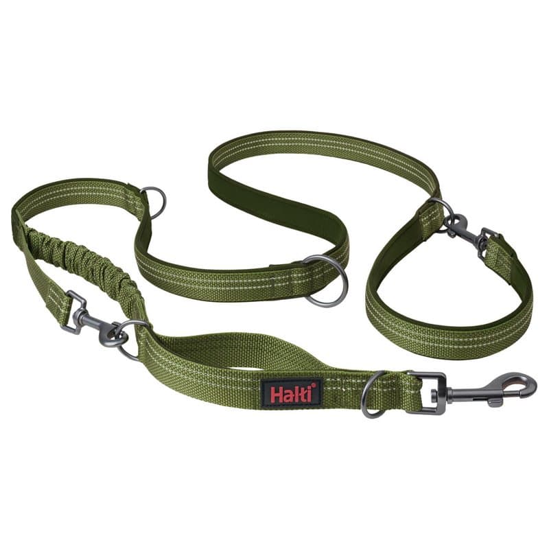 Laisse pour Chien Company of Animals Vert L - Image 1