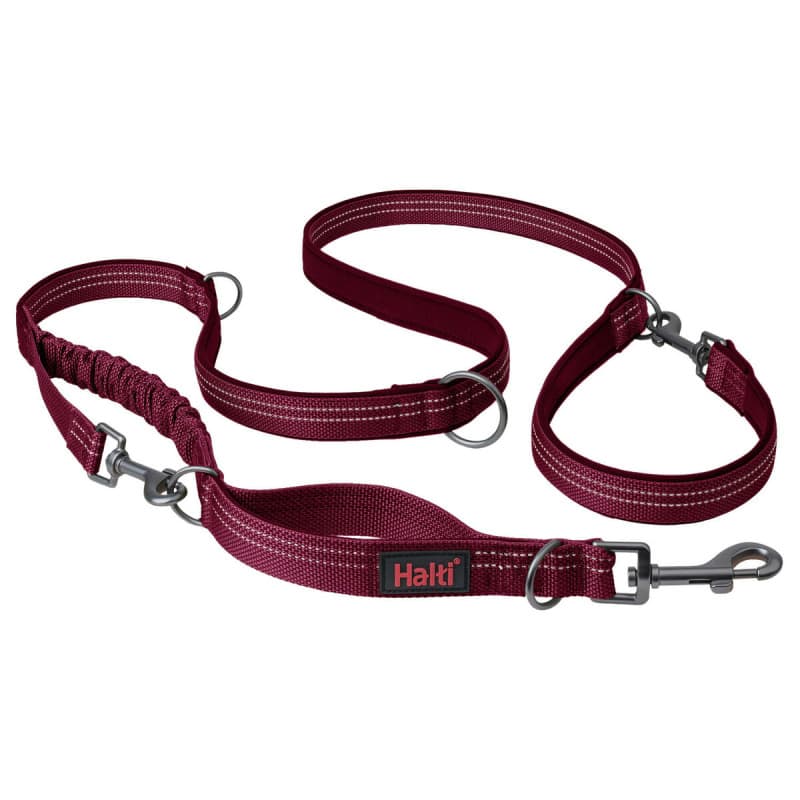 Laisse pour Chien Company of Animals Bordeaux L - Image 1