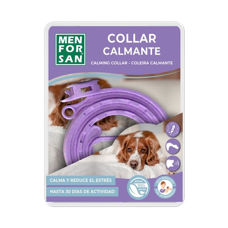 Collier pour Chien Menforsan Violet - Image 1