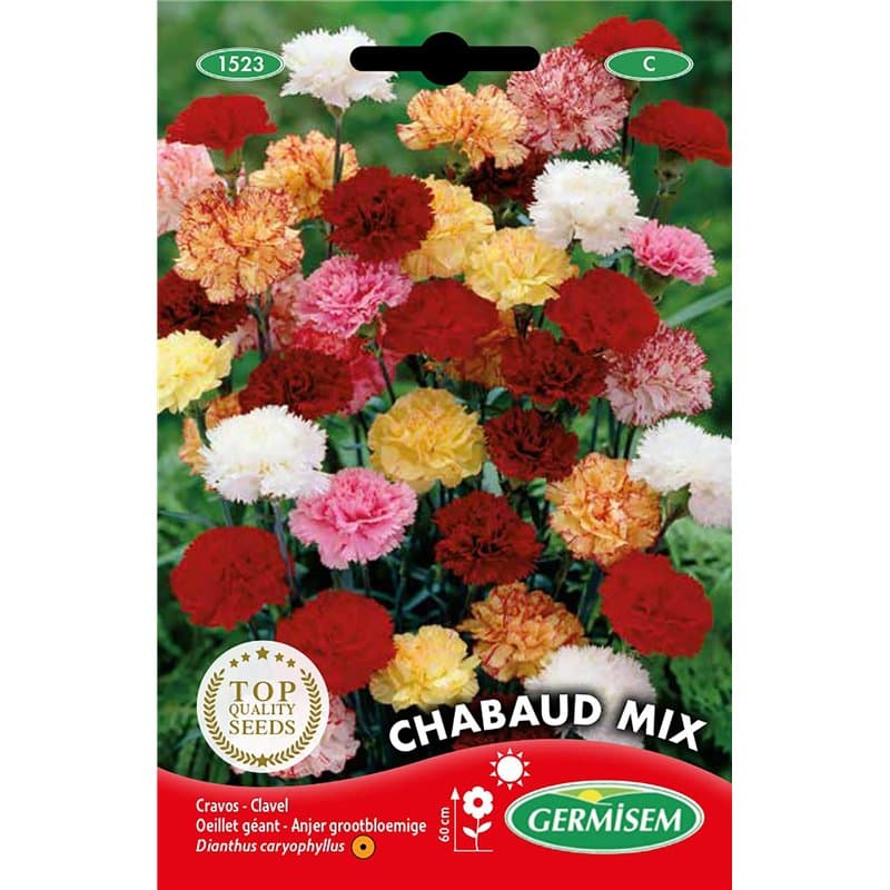Germisem Graines Oeillet géant CHABAUD MIX - Image 1