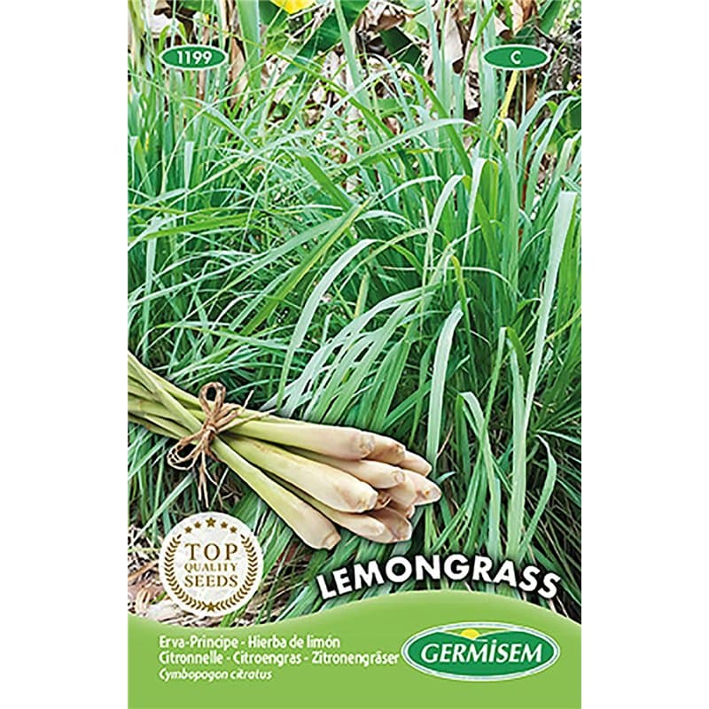 Lemongrass Seeds - Image 1