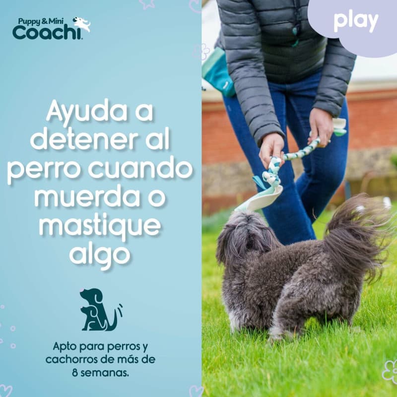 Harnais pour Chien Coachi - Image 1