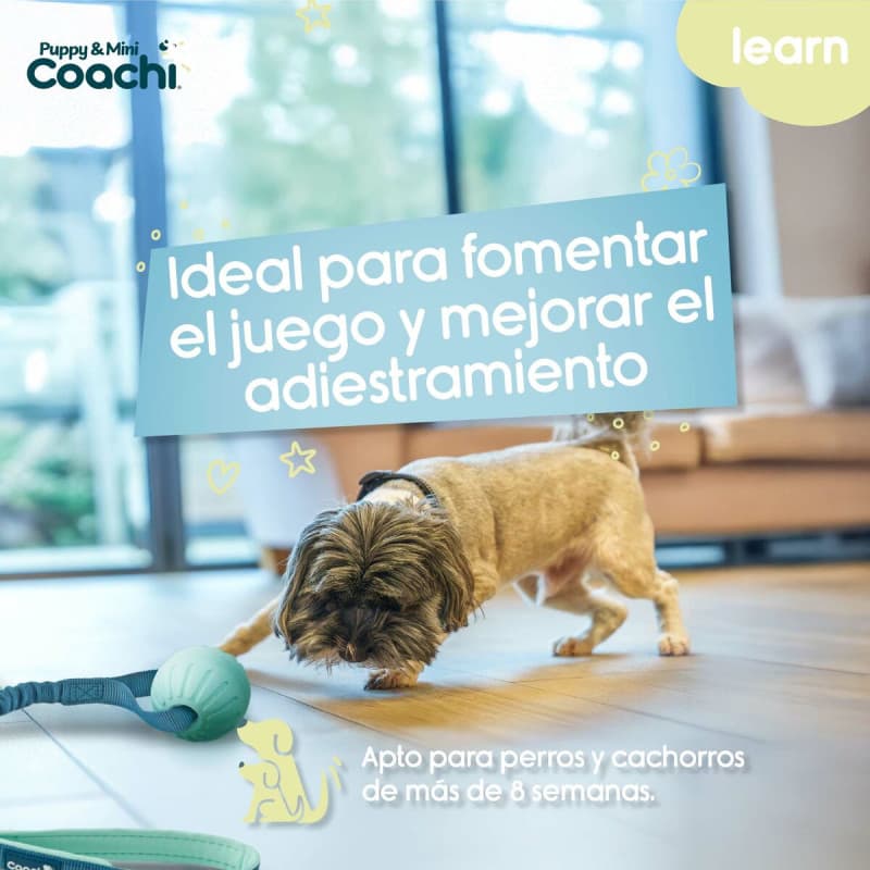Harnais pour Chien Coachi - Image 1