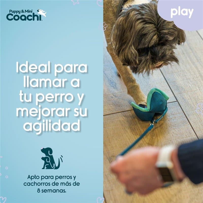 Harnais pour Chien Coachi - Image 1