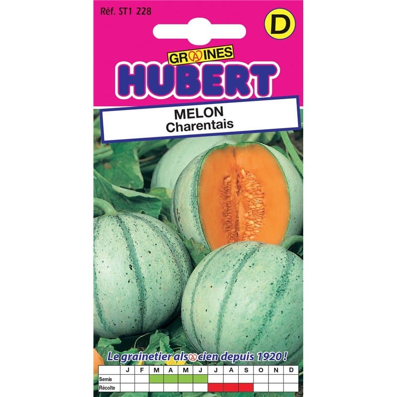 25 Graines de Melon Charentais - Image 1