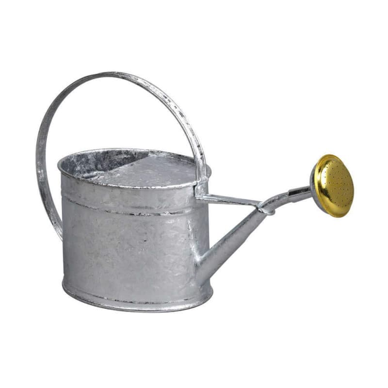 GUILLOUARD 80320 Arrosoir, Gris, Neutre - Image 1