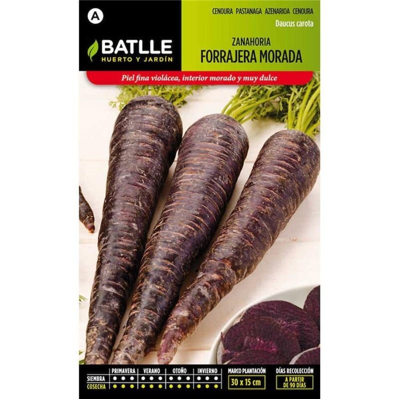 Semillas Batlle Carotte FOURRAGERE Violette, Violet - Image 1