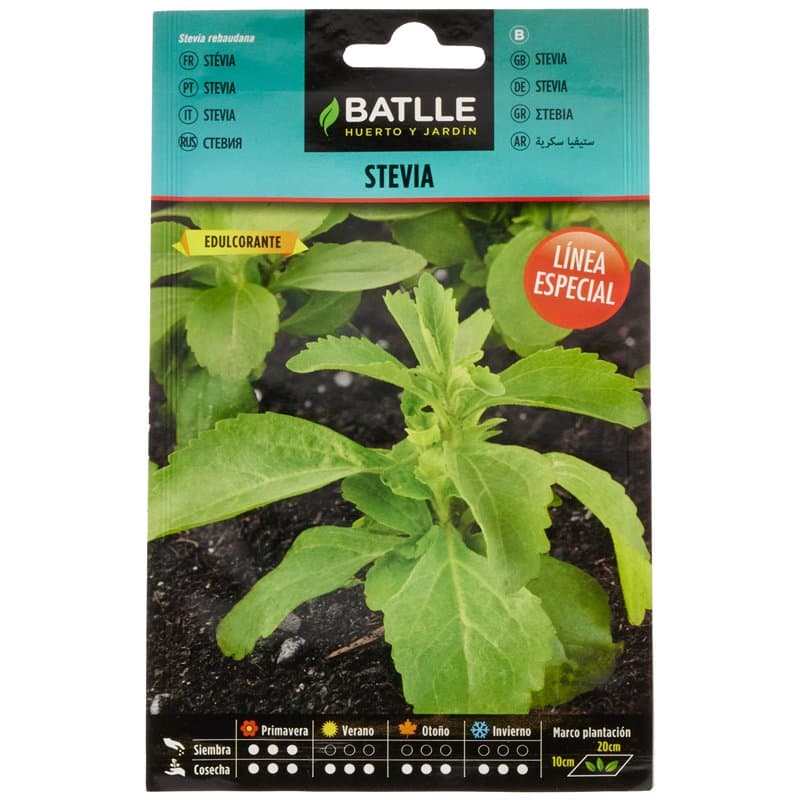 Semillas aromáticas de Battle - Stevia (Seeds - 50cm), vert - Image 1