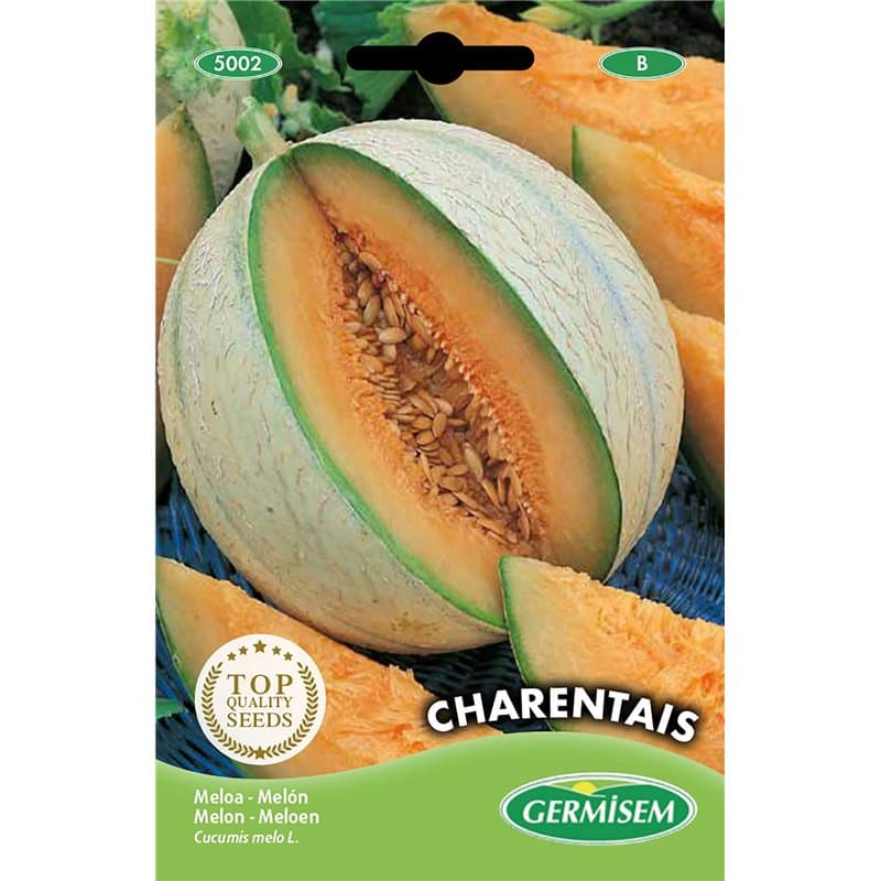 Germisem graines Melon CHARENTAIS - Image 1