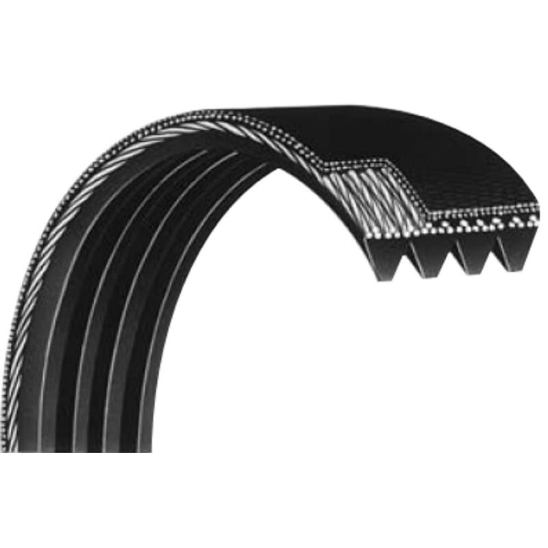 Looxe COURROIE 2610394629 COMPATIBLE - Image 1