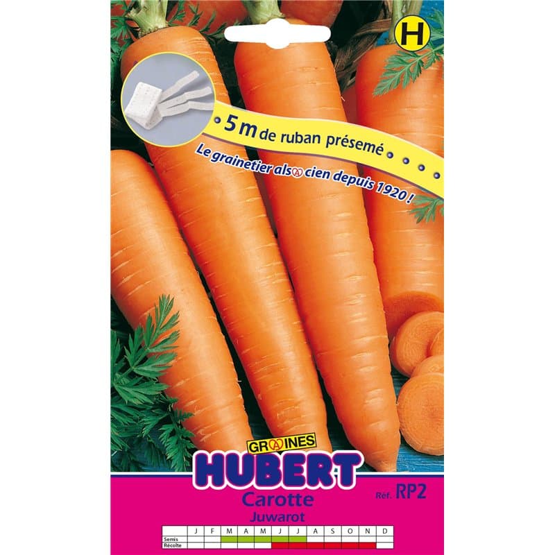 Ruban Présemé Graines de Carotte Juwarot - Image 1
