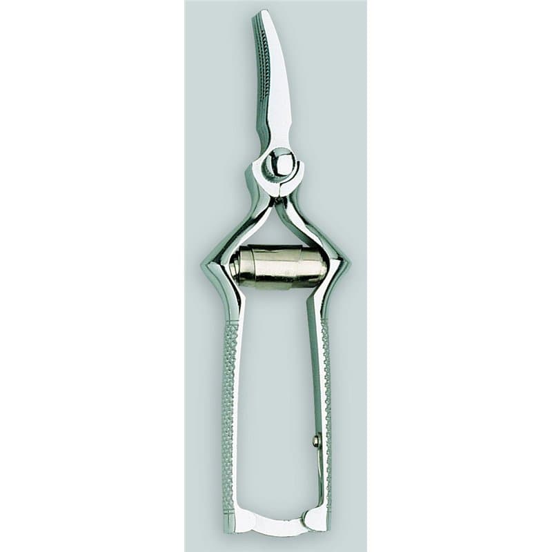 Masticateur - 169 - Image 1