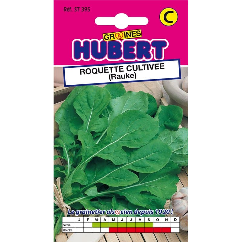 Graines de Roquette Cultivée - 3 grammes - Image 1