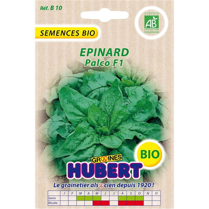 Graines BIO d'Epinard Palco F1-8 grammes - Image 1