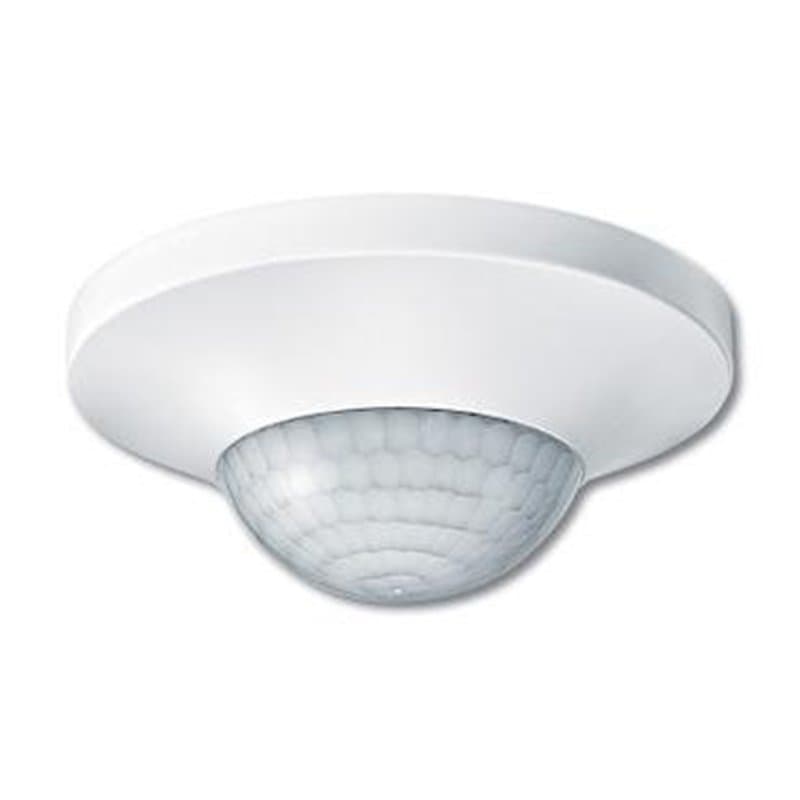 Argus presencia polar - Image 1