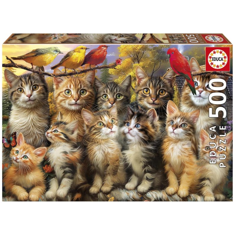 Puzzle - EDUCA - Chatons et Oiseaux - 500 pieces - Image 1