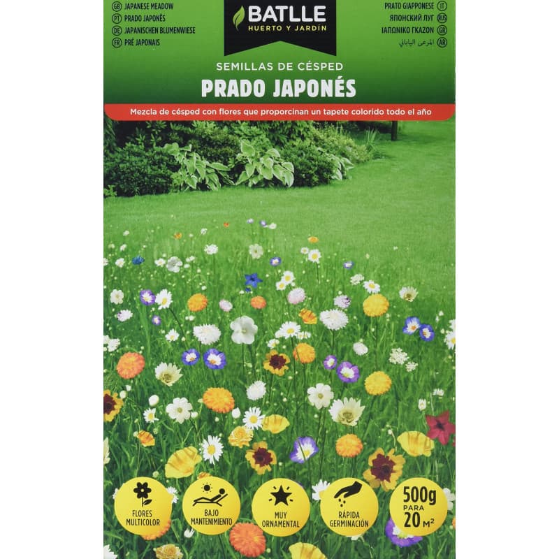 Batlle Gazon Japonais - Image 1