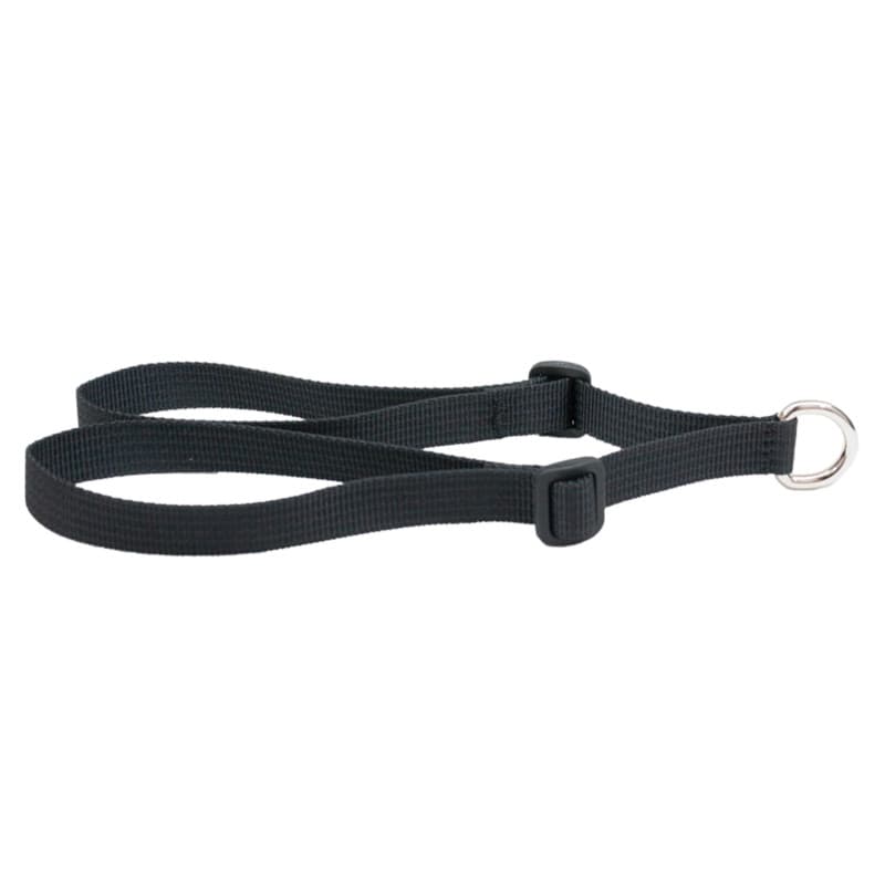 Helite Sangle de Selle équestre - Image 1