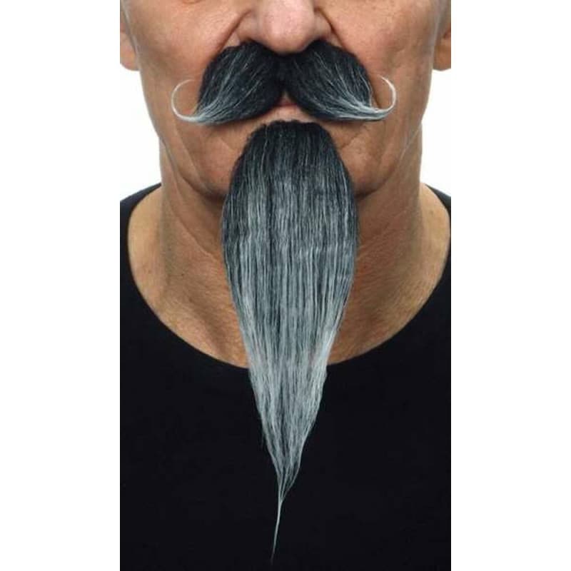 Fausse barbe My Other Me Gris - Image 1