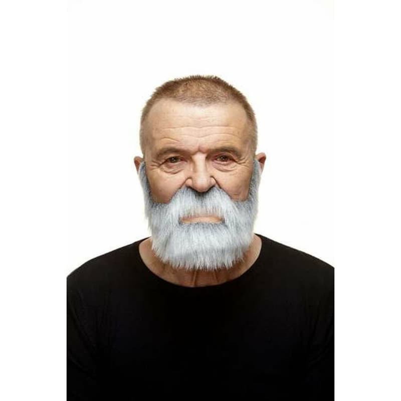 Fausse barbe My Other Me Gris - Image 1